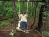 2002612mori3.JPG (90526 バイト)