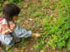 2002617mori11.JPG (93229 バイト)