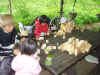 2002819mori2.JPG (90673 バイト)