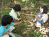 200294mori3.JPG (93837 バイト)