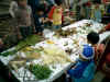 20031110amori13.jpg (86247 バイト)