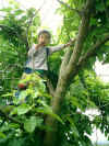 200371mori3.jpg (195763 oCg)