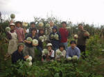 2003927pama1.JPG (93654 �o�C�g)