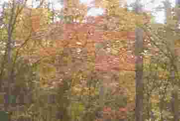 1997.10.28.jpg (4904 oCg)