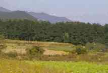 1997.10.9.jpg (3273 oCg)