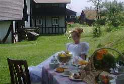 1998.6.17uedingniwa.jpg (7692 oCg)