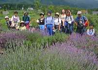 1998.6.28harbu.jpg (7369 oCg)