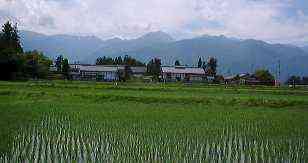 1998.6.4.jyounenn.jpg (6808 oCg)