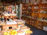 199935oyaoya.jpg (6823 �o�C�g)