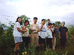 1999912hatake1.jpg (7557 oCg)