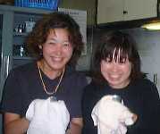 199994syokkifuki.jpg (4485 oCg)