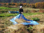 20011116soba.JPG (92393 oCg)