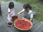 2001727umebosi1.JPG (90431 oCg)
