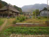 20021019maki10.JPG (89257 oCg)
