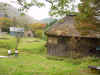 20021019maki12.JPG (90487 oCg)