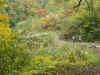 20021019maki8.JPG (89831 oCg)
