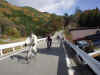20021110pota3.JPG (87282 バイト)