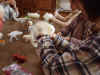 2002118tesigoto2.JPG (80881 oCg)