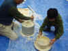 2002128soba1b.JPG (86929 oCg)