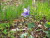 2002429hana4.JPG (95190 oCg)