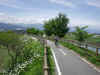 2002512pota15.JPG (88172 バイト)