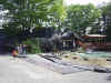 2002512pota19.JPG (95722 バイト)