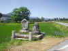 200269pot5.JPG (88152 バイト)
