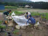 2002815pama7.JPG (89125 oCg)