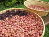 2002815ume2.JPG (94209 oCg)