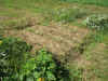 2002828sizennou2.JPG (91905 oCg)