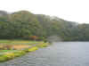 20031013pot3.jpg (59634 バイト)