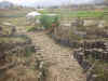 20031122hatake07.JPG (92279 oCg)