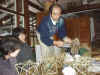 20031129syu.JPG (89617 oCg)