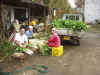 2003115daikon2.JPG (90669 oCg)