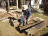 20031214syante10.JPG (93267 バイト)