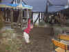20031214syante27.JPG (84420 バイト)