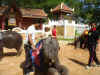 200312phuket021.JPG (72260 oCg)