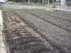 2003414tanbo3.JPG (94163 バイト)