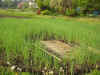 2003514tannbo1.JPG (90815 oCg)