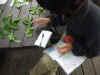 2003525pama11.JPG (86353 バイト)