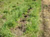 200355sizen4.JPG (89957 バイト)