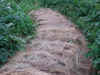 2003610par7.JPG (91388 oCg)