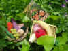 2003611tesigoto2.JPG (90560 oCg)