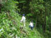 2003615yamasigoto2.JPG (92920 oCg)