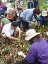 200361begood10.JPG (267242 バイト)