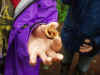 200361begood4.JPG (77328 バイト)