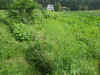 2003630hatake3.JPG (87619 oCg)