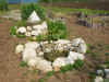 200369hatake12.JPG (89046 バイト)