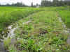 2003730tanbo1.JPG (93255 oCg)
