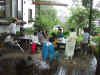 2003817sizennou1.JPG (92834 oCg)